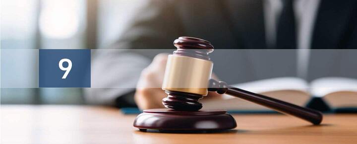Pro Bono Services